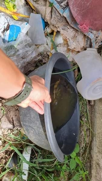 ออกปฏิบัติงานฉีดพ่นสารเคมีกำจัดยุงลาย เพื่อป้องกันโรคไข้เลือดออก