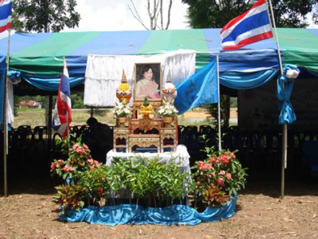 โครงการประชาอาสาปลูกป่า ๘๐๐ ล้านกล้า ๘๐ พรรษา มหาราชินี 1 2 3 4 5 6 7 8 9